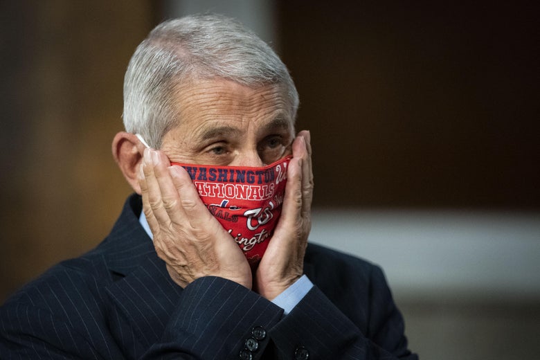 Fauci wearing a red mask 