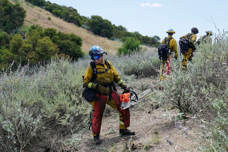 Espinoza standing in low brush, holding a chainsaw. Three other firefighters walk in the background.