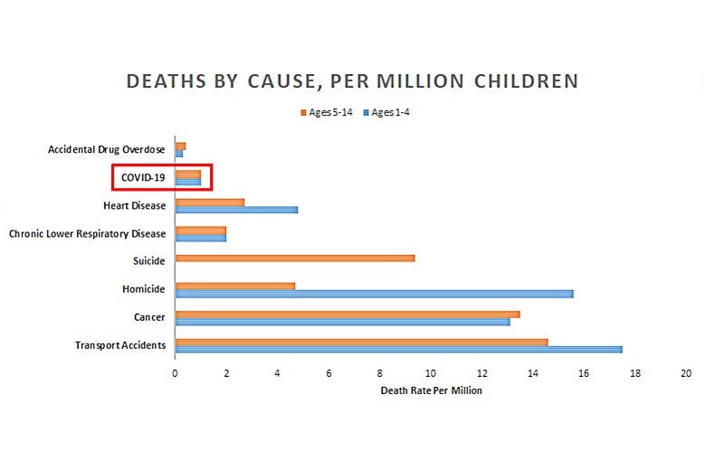 A chart measuring death by specific causes per million children.
