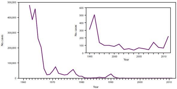 measles cases