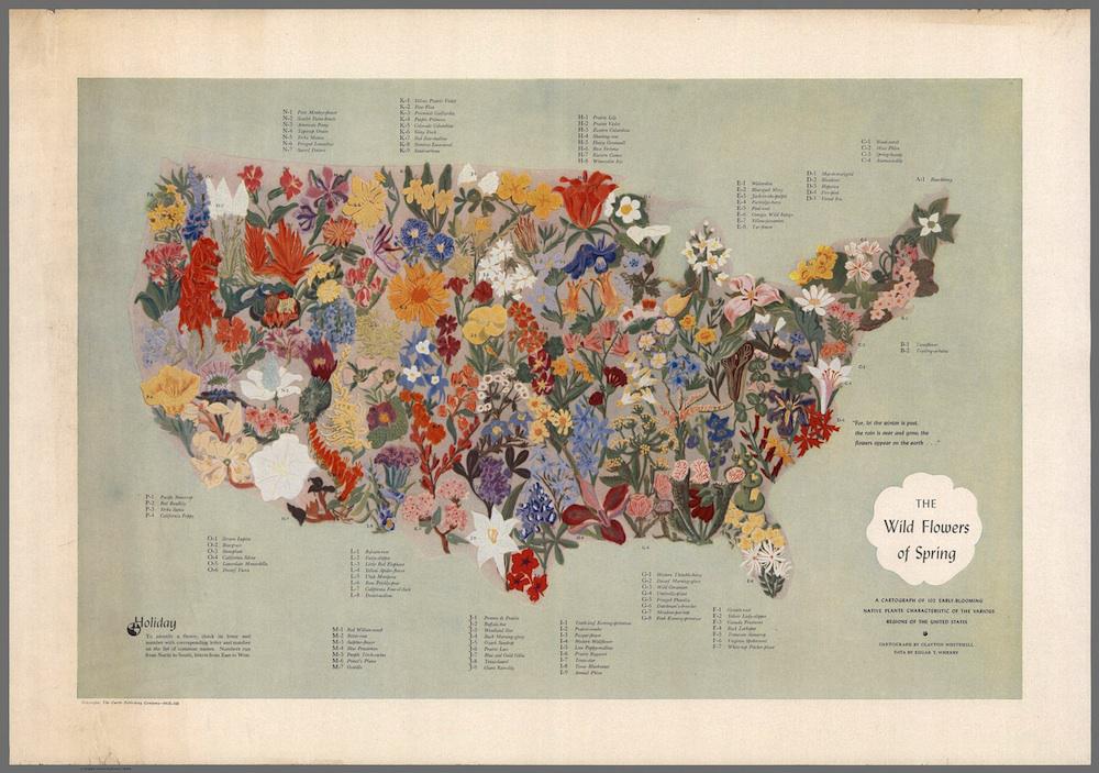 Flowers in the United States