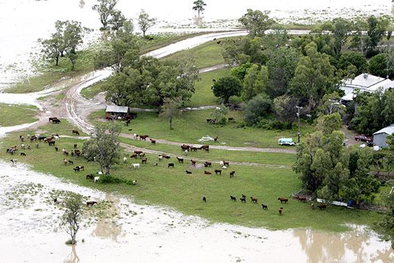 An aerial view of flood affected farm land on February 3, 2012 in Moree, Australia.