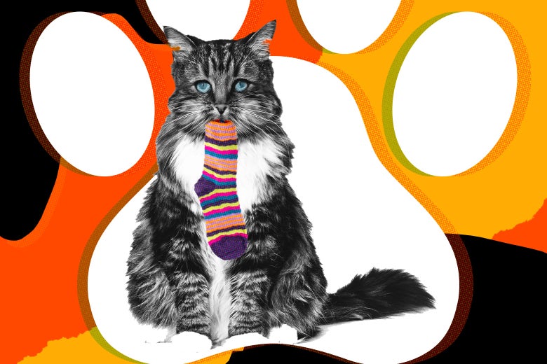 Dresses with sales cats on them