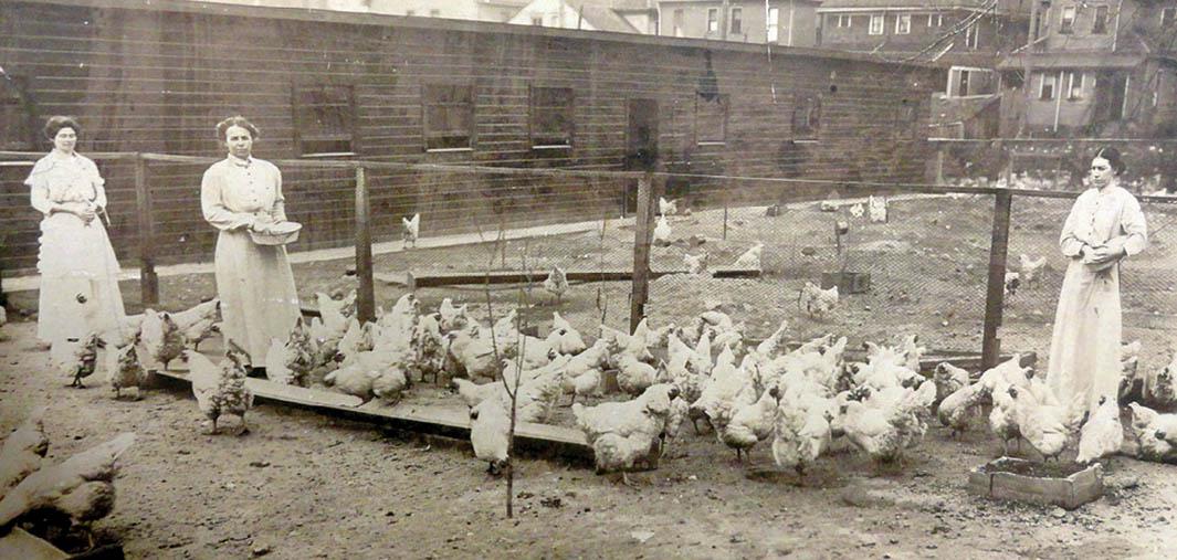 Women feeding chickens at the Indiana Women's Prison.,Women feeding chickens at the Indiana Women’s Prison.