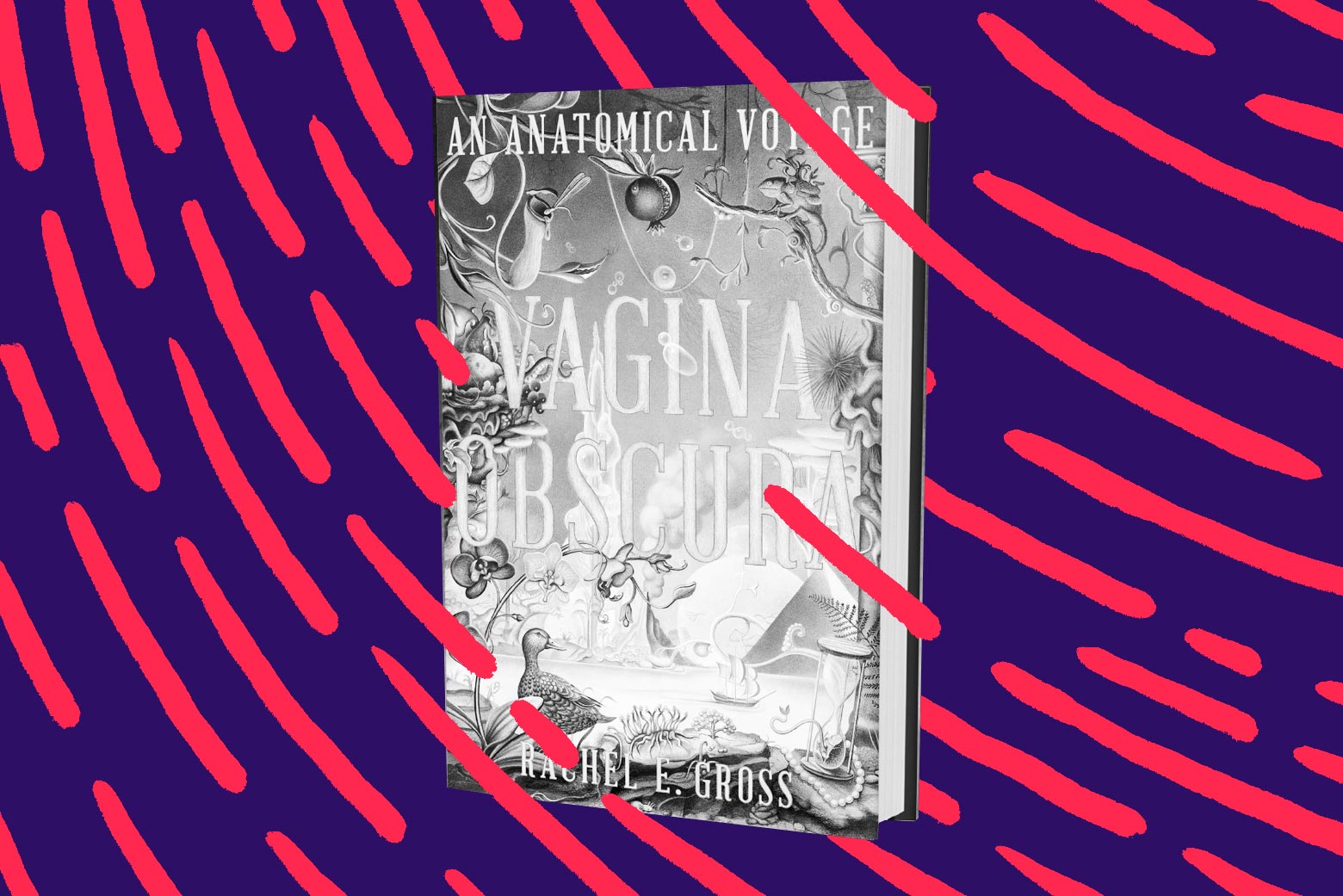 Why We Understand So Little About the Vagina