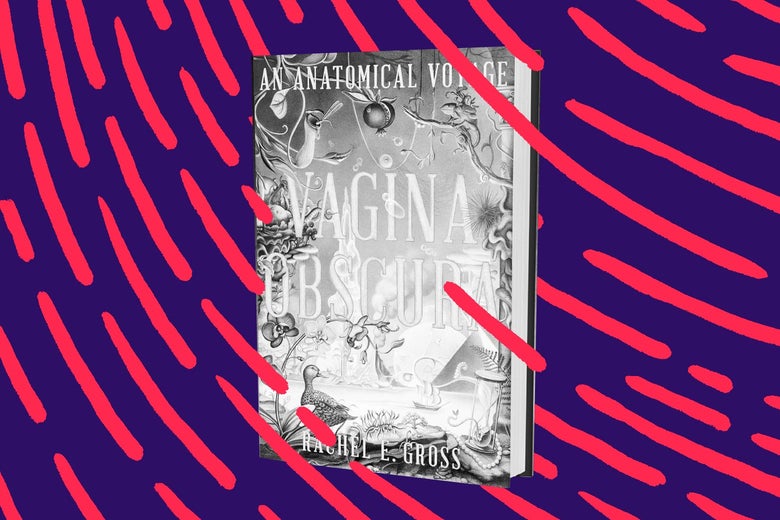 Why We Understand So Little About the Vagina Why We Understand So Little About the Vagina