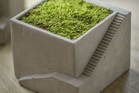 Mothology Cement Architectural Cube Planter