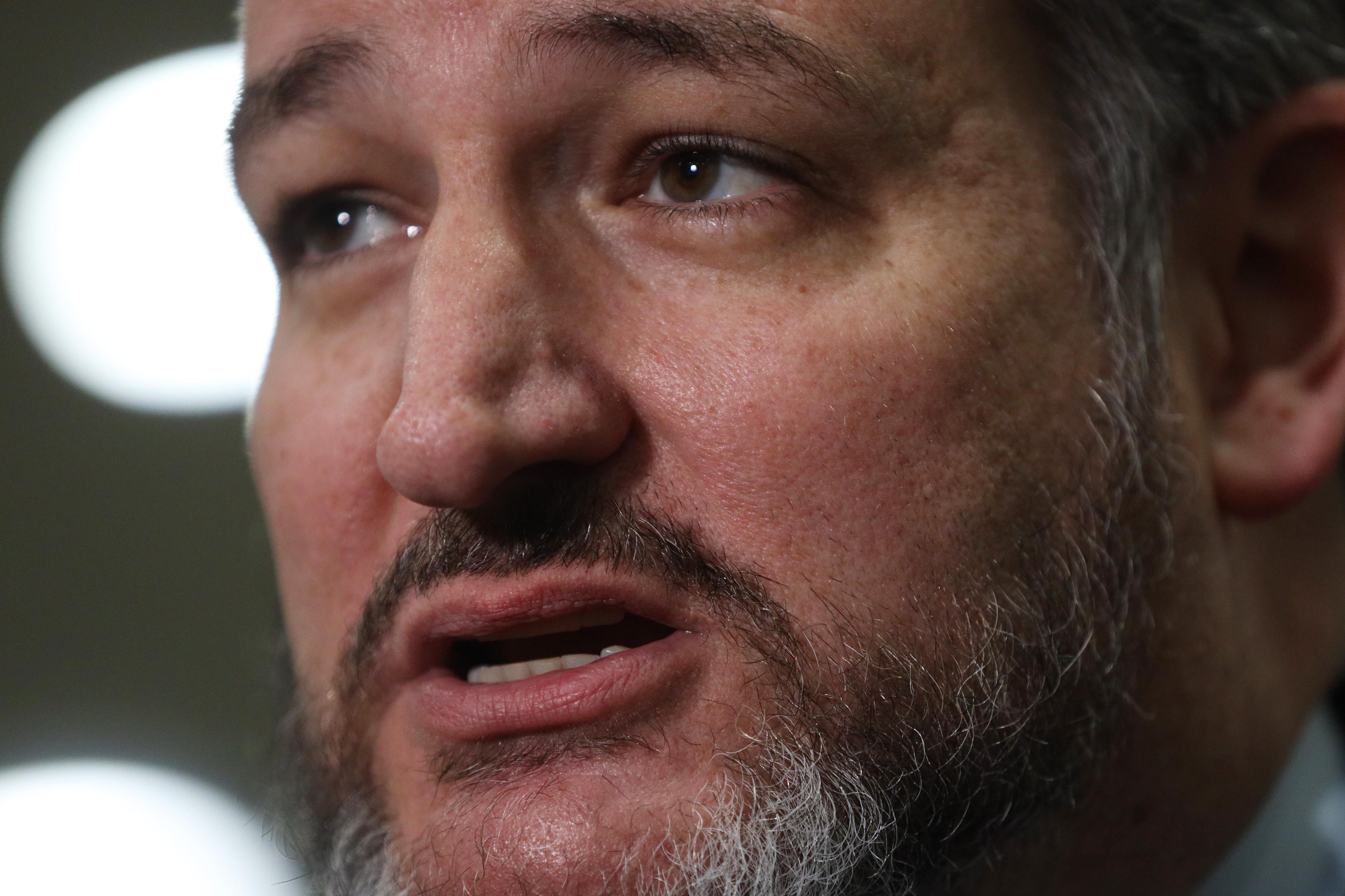 Ted Cruz speaks to reporters during a break in the impeachment trial