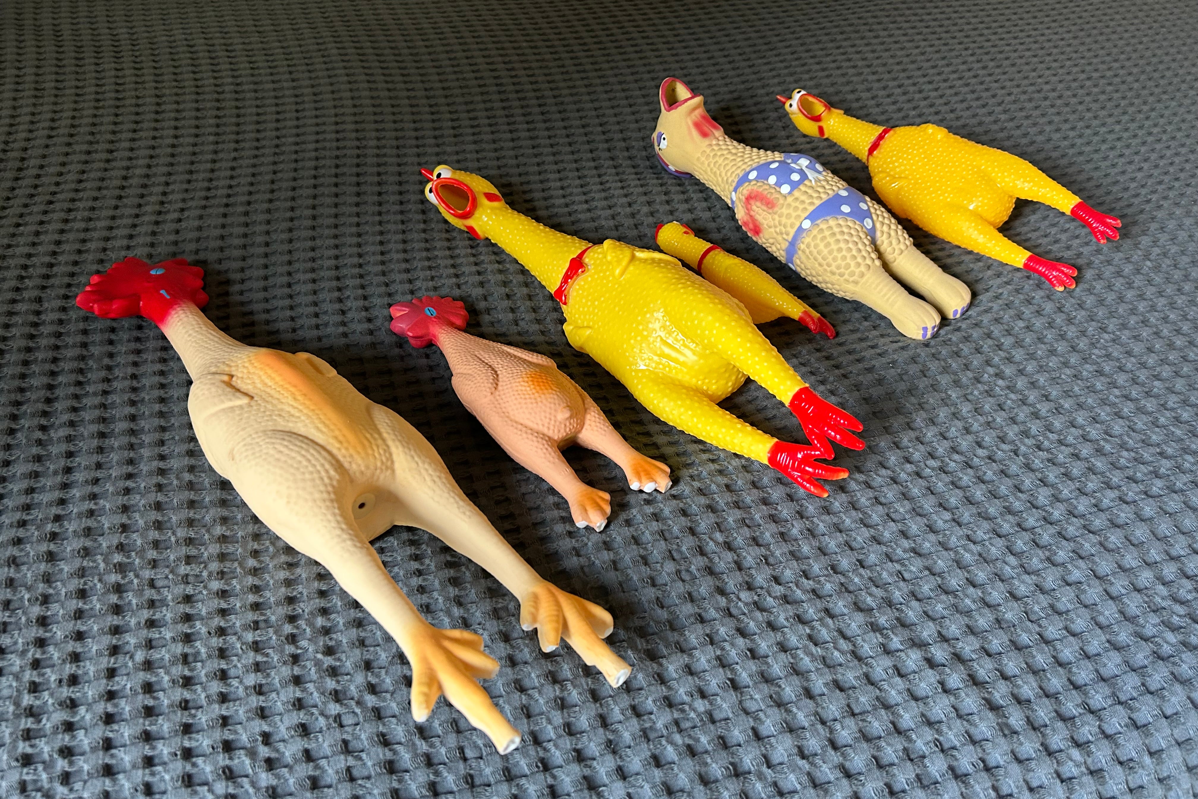 An array of rubber chickens of varying sizes, styles, and outfits.