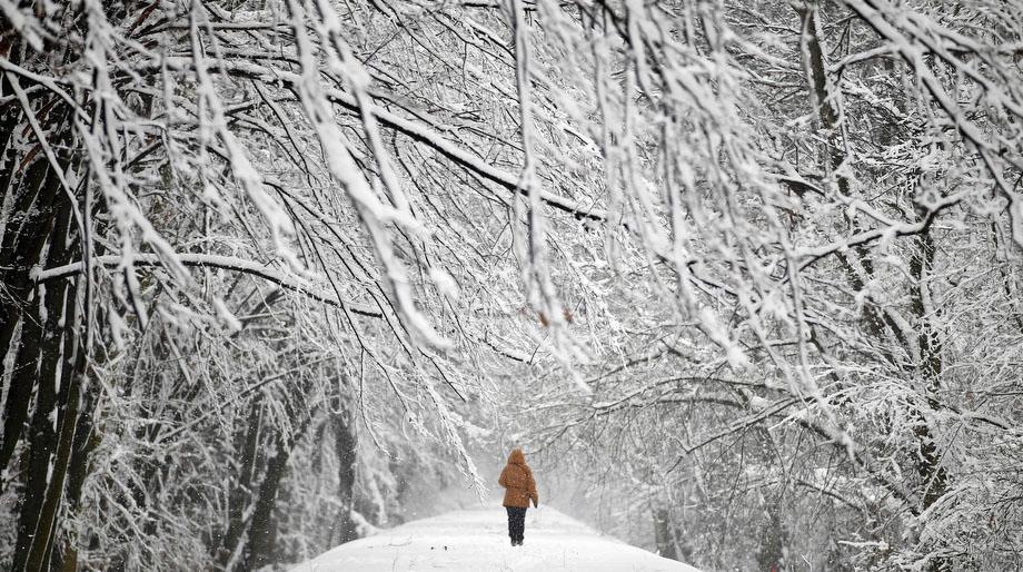 A woman walks through snow covered Mlociny Park following heavy snow fall in Warsaw, Poland on April 1, 2013. 