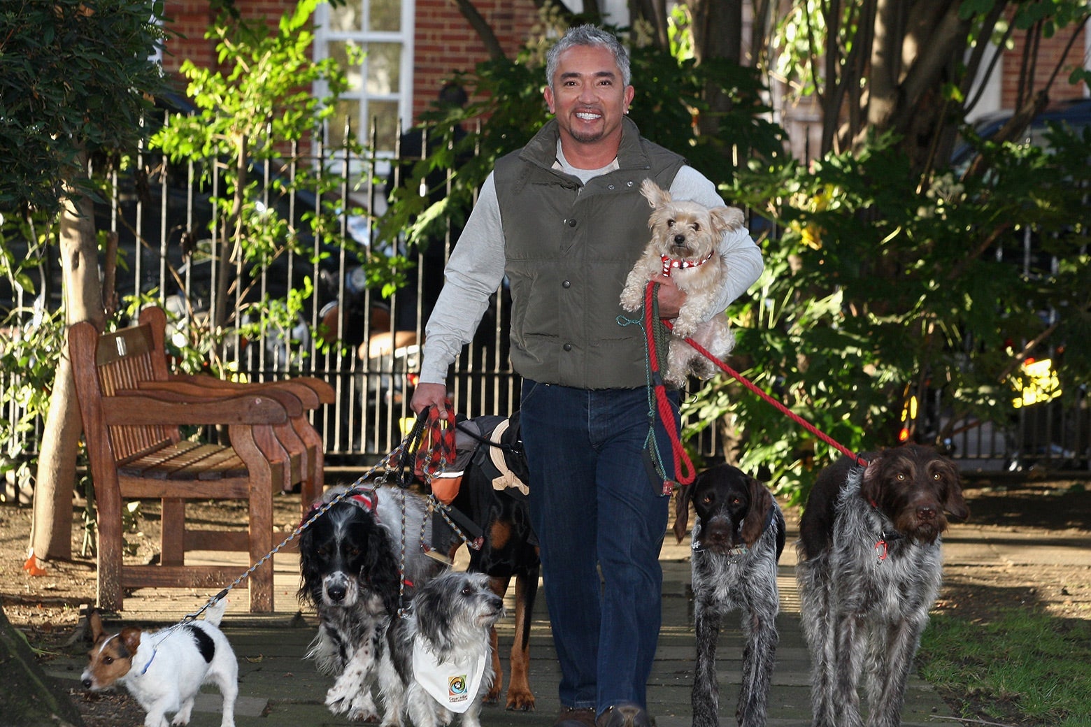 Cesar Millan, with several dogs in tow, stands in front of a bench and a gate fencing off a garden.