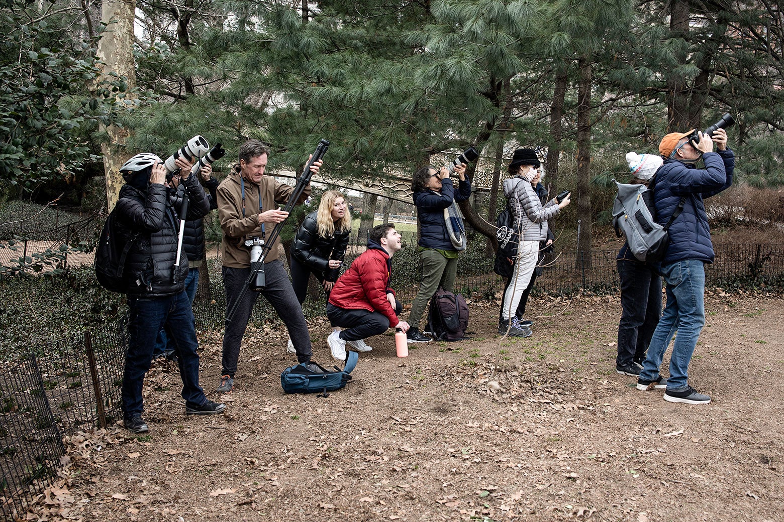 A bunch of people in a wooded area with camera equipment. 