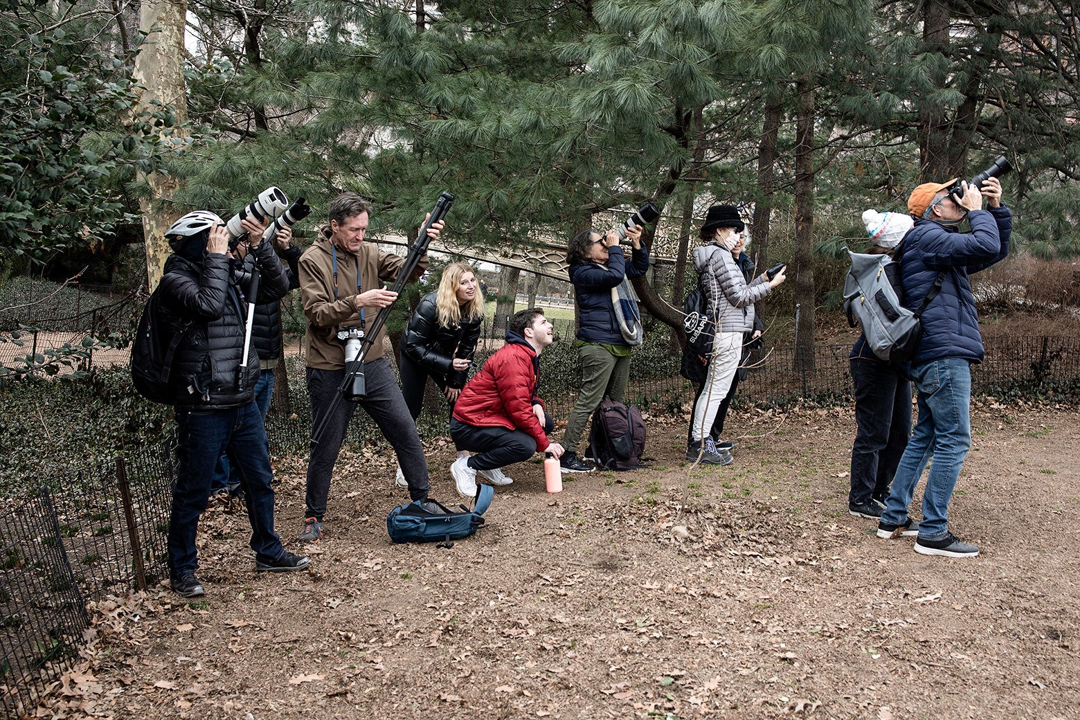 A bunch of people in a wooded area with camera equipment.