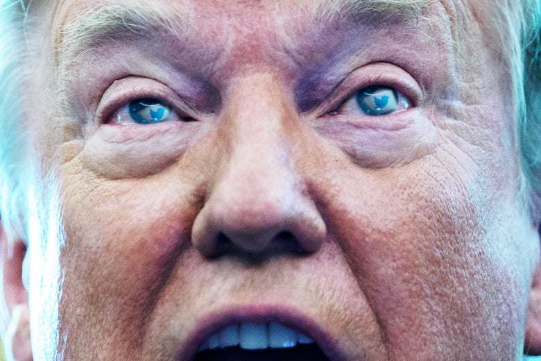 A close-up of Trump's yelling face, with Twitter birds reflected in his eyes