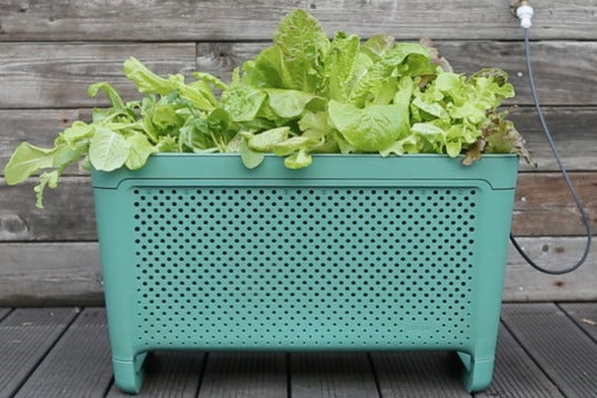 Grow Duo.