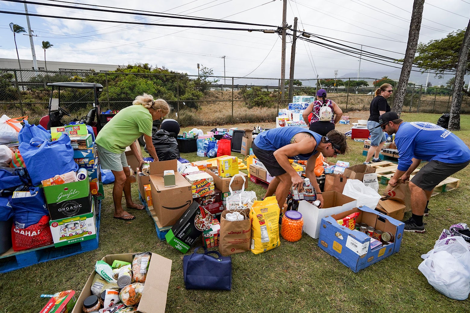Volunteers in a grassy field work through cardboard boxes of food and other supplies.