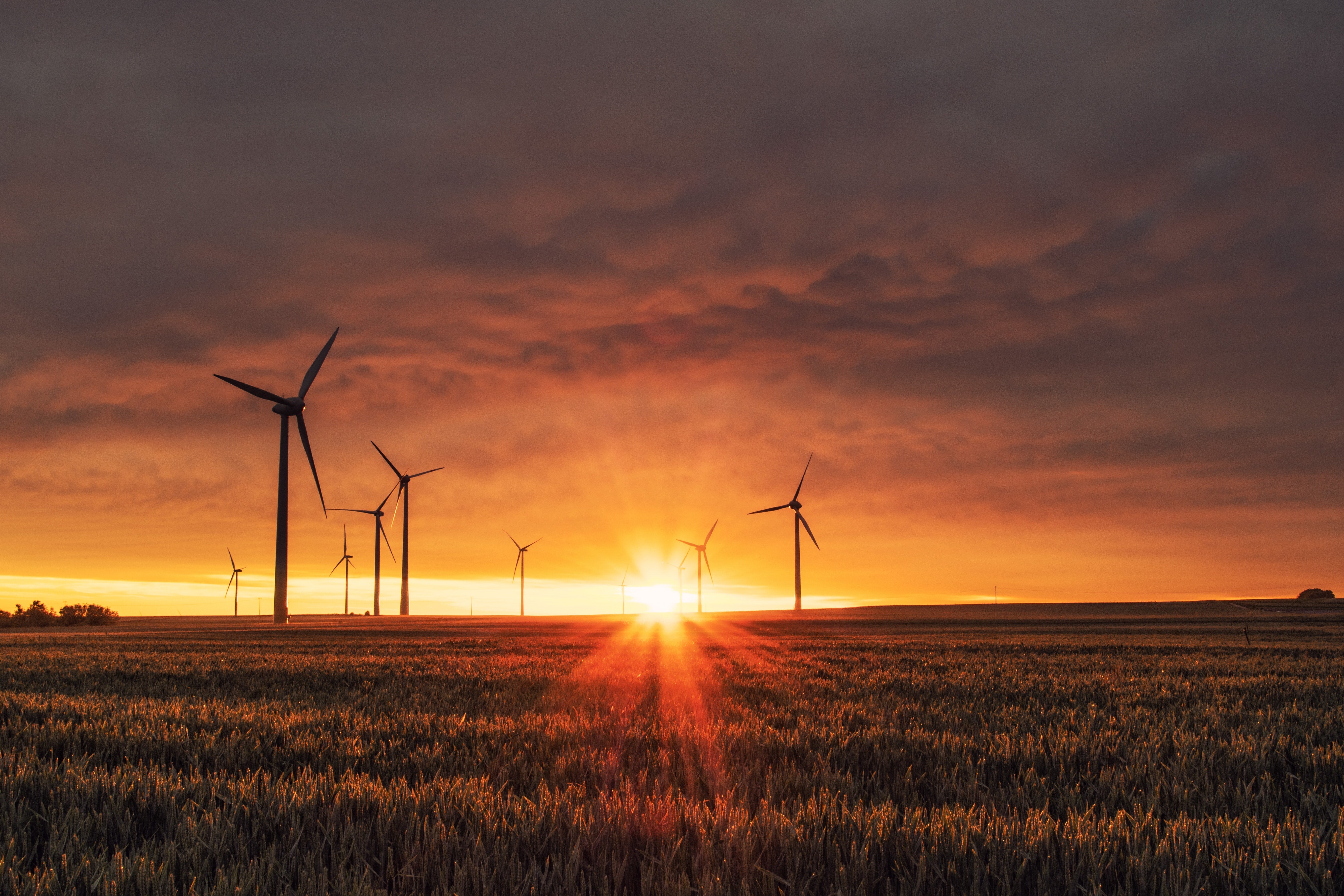 Wind turbines on a field against a sunrise or sunset.