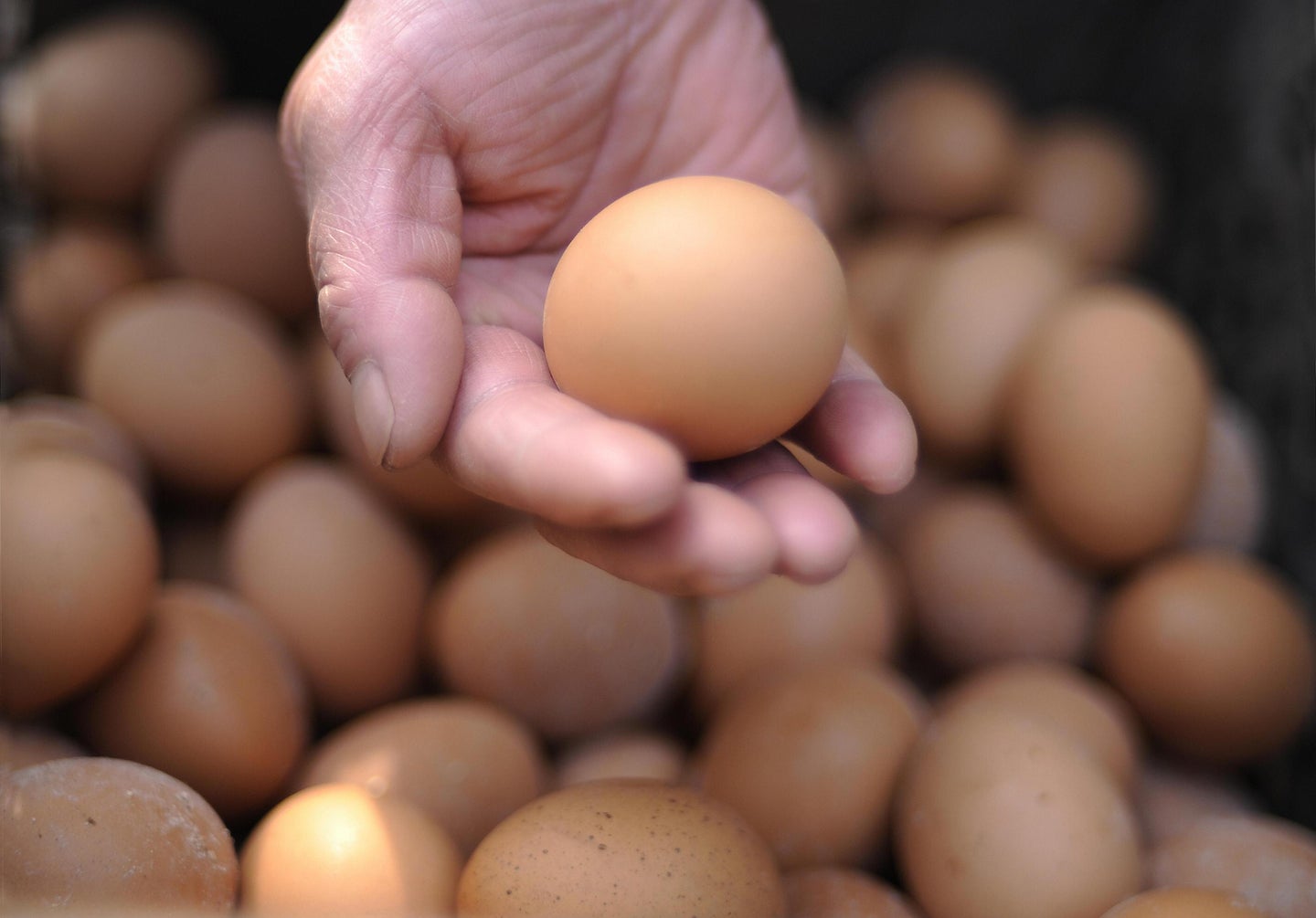 Hard-boiled eggs: Why you should never actually boil them.