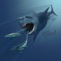 Wil Wheaton: Discovery Channel Megalodon documentary betrayed viewers.