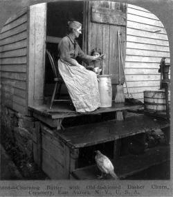 Churning butter with old-fashioned dasher churn, creamery, East Aurora, NY, 1905.