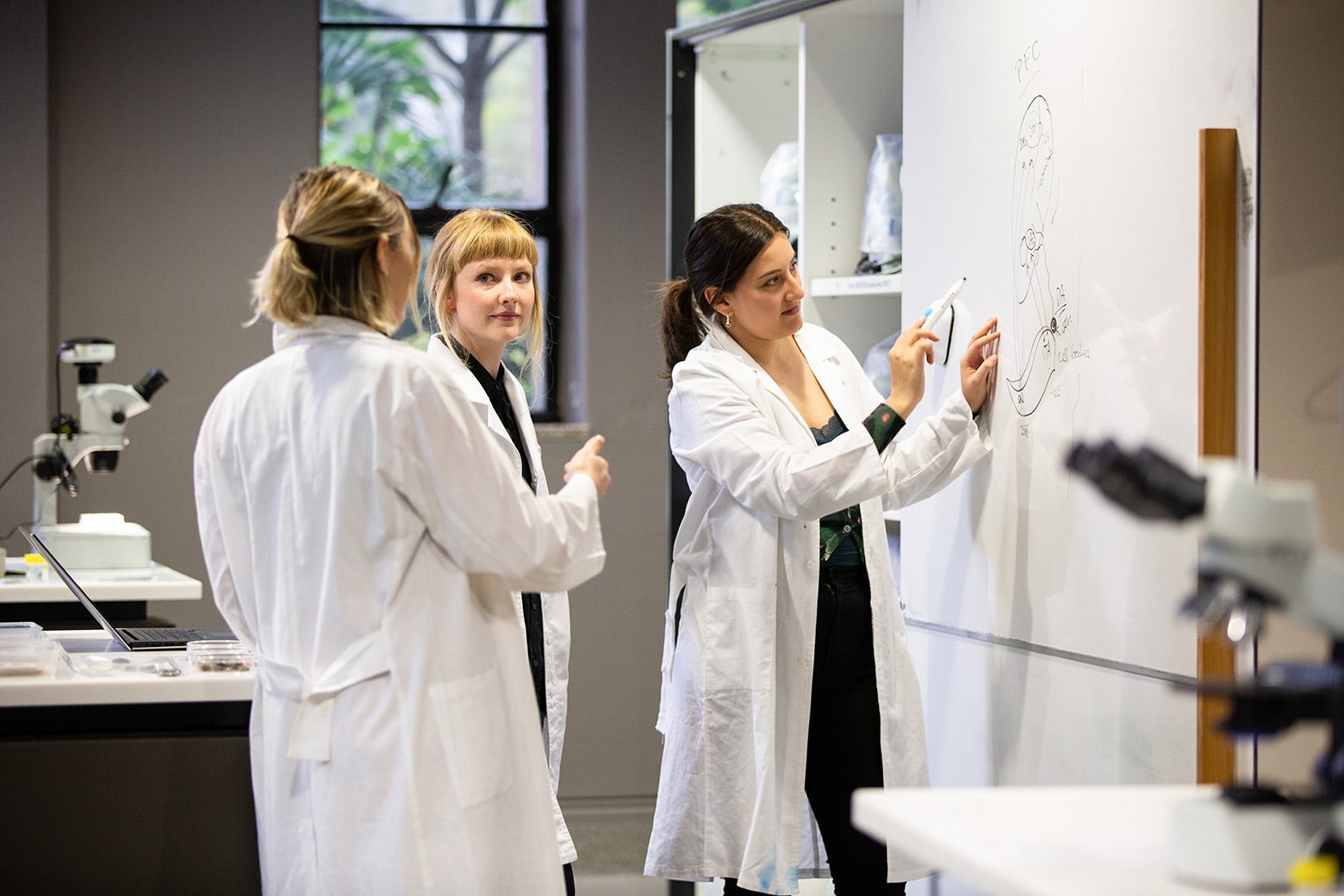Three women in white lab coats work in front of a whiteboard in a lab.
