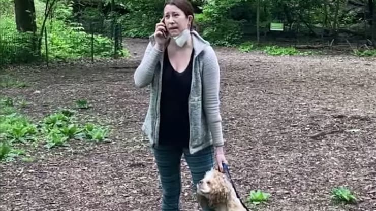 People Like Amy Cooper Are Why I Left New York City