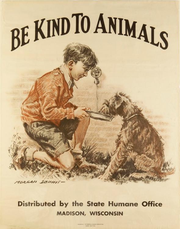 showing kindness animals