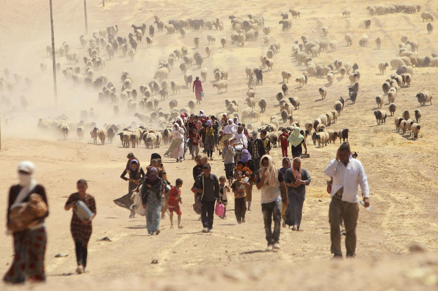 Displaced Yazidi people walk towards the Syrian border, on the outskirts of Sinjar mountain, near the Syrian border town of Elierbeh of Al-Hasakah Governorate August 10, 2014.