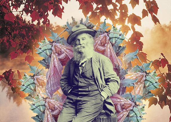 Walt Whitman's delight at trees and moths and glowworms