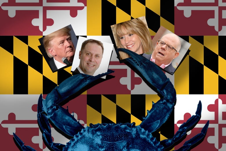 The Wild Strategy Democrats Keep Taking With Trump Loons The Wild Strategy Democrats Keep Taking With Trump Loons