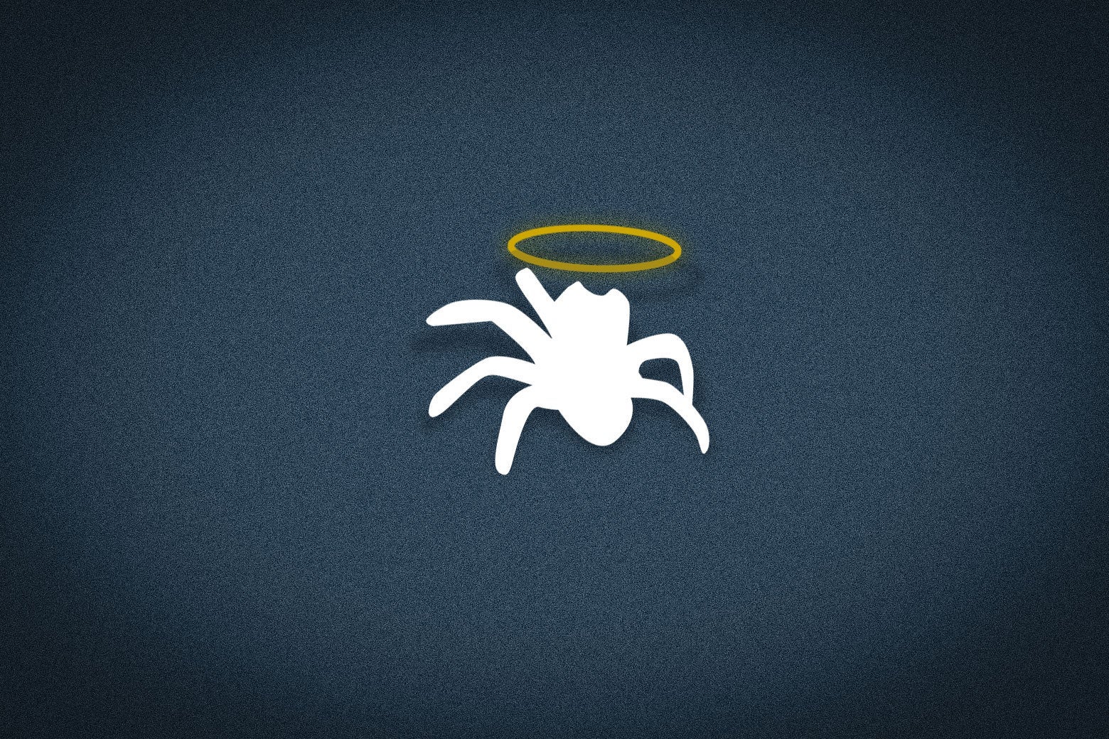 Why Finding a Crab Aboard the Shackleton Shipwreck Was So Shocking&nbsp;
