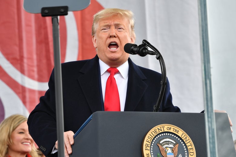 Donald Trump speaks into a microphone at a podium.