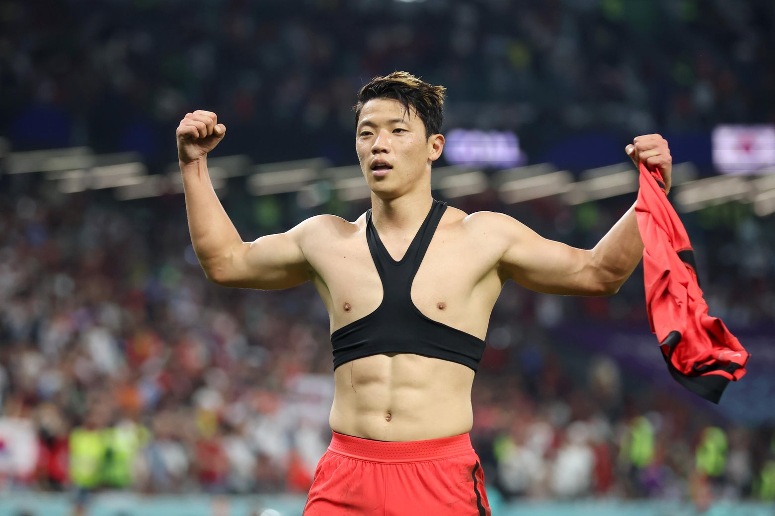soccer sports bras: Why they those harnesses?