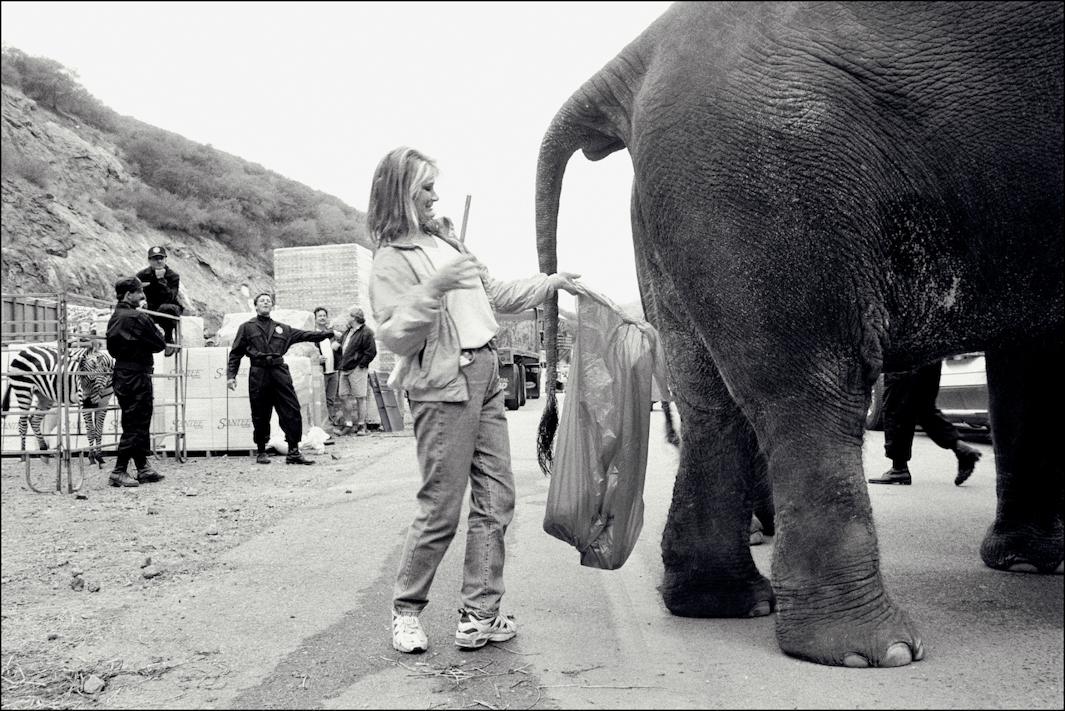 Deep Impact elephant wrangler, 1998.