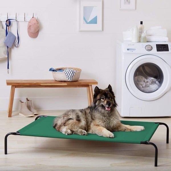 AmazonBasics Cooling Elevated Pet Bed