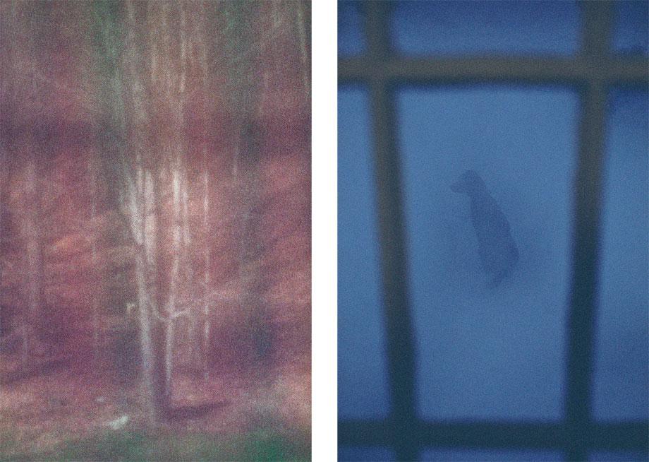 Backyard Through Red Curtain, Mount Tremper, N.Y., 2005 (l); Sundance, Mount Tremper, N.Y., 2010