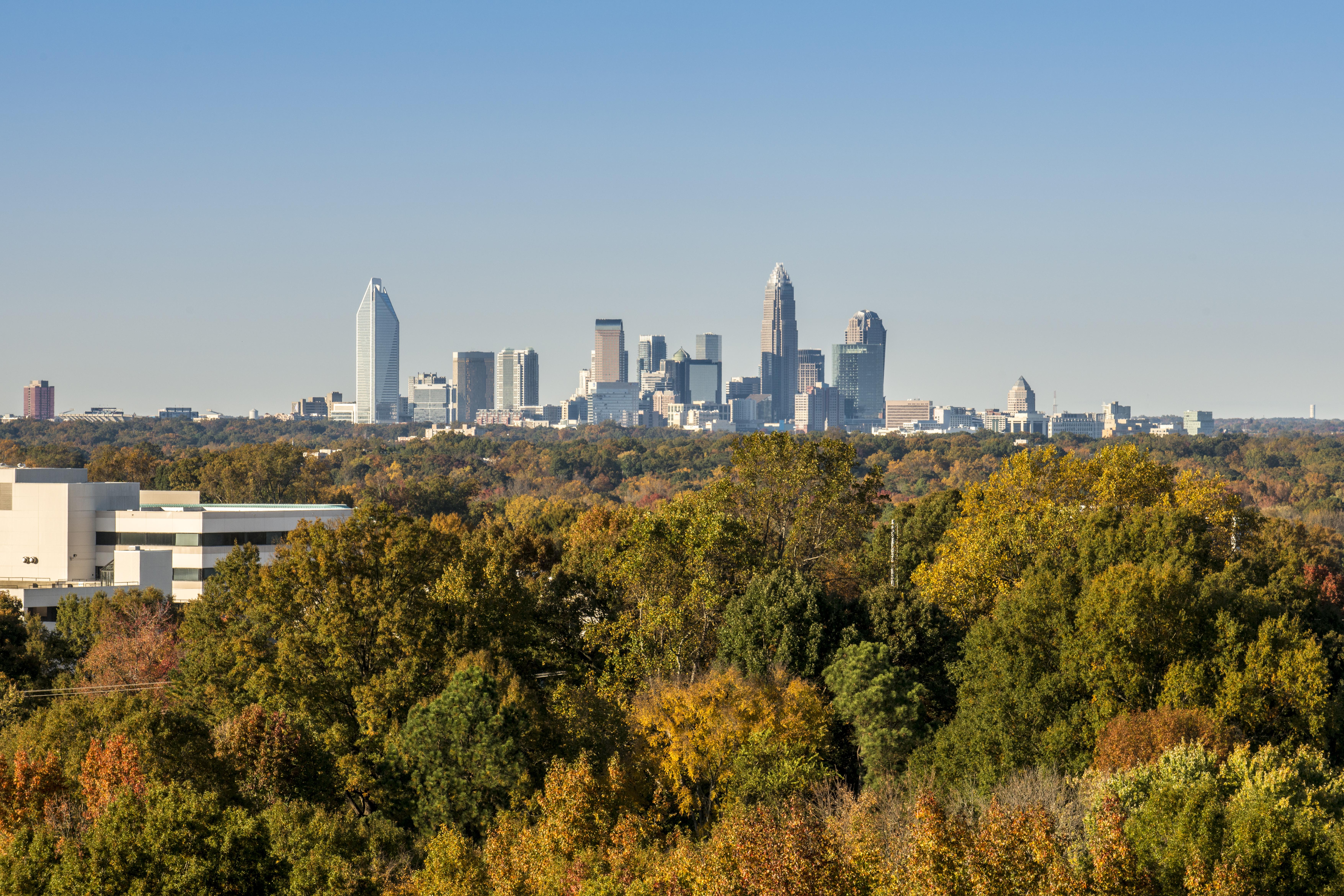 Urban Density: Nearly Half Of America's Biggest Cities Look Like Giant ...