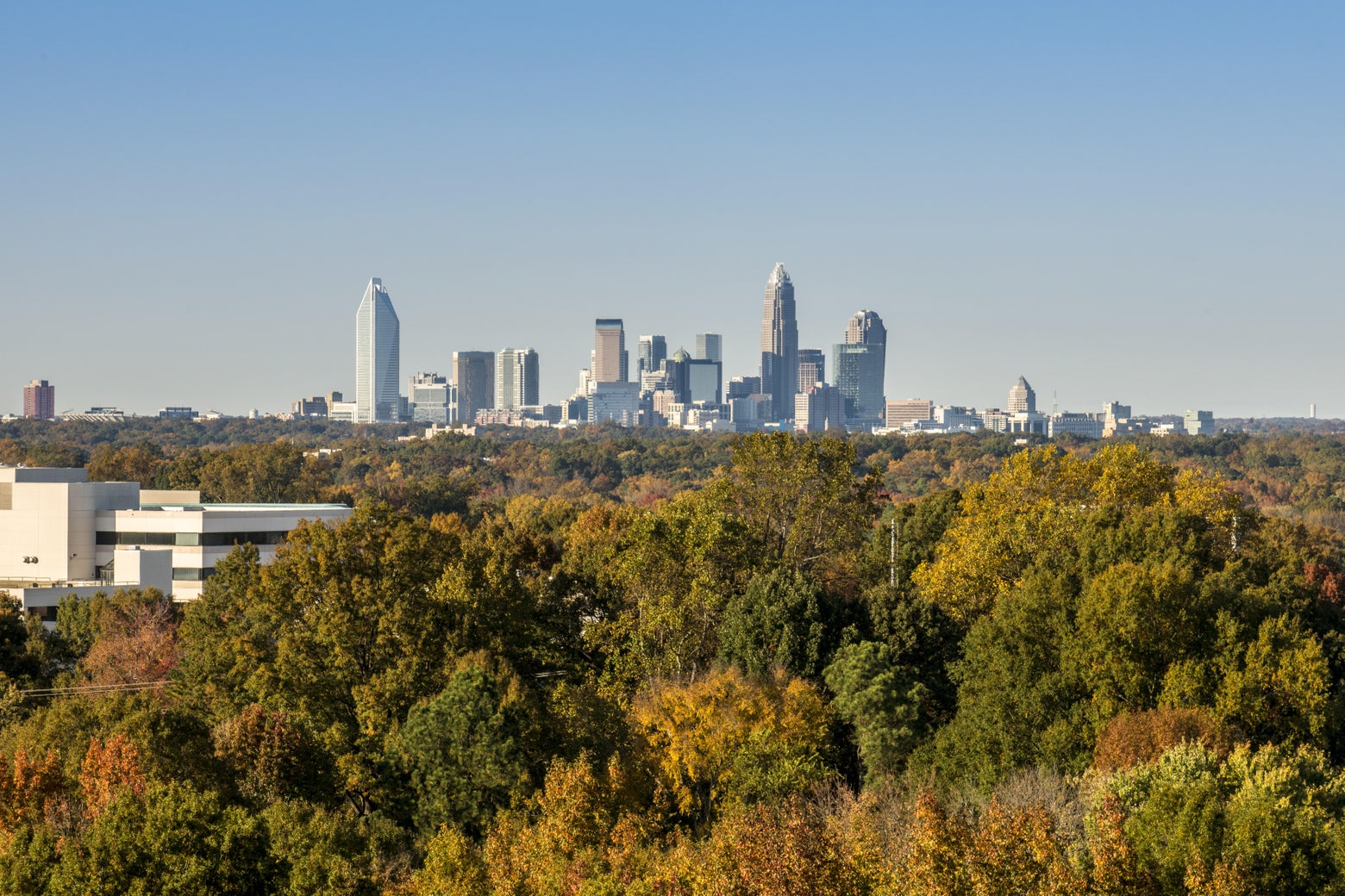 urban-density-nearly-half-of-america-s-biggest-cities-look-like-giant