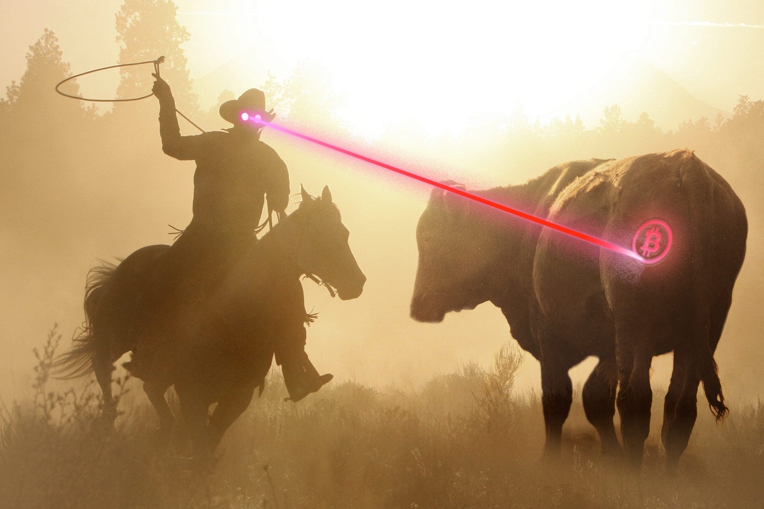 A cowboy with lasers coming out of his eyes etches a Bitcoin logo (in laser) on a cow's rear end.