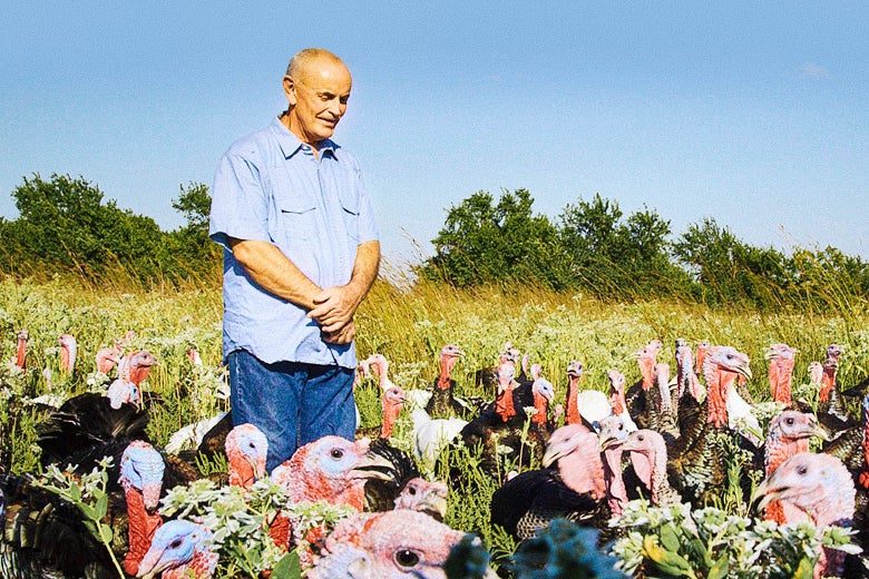 Still from Eating Animals: A man stands among turkeys in a field.