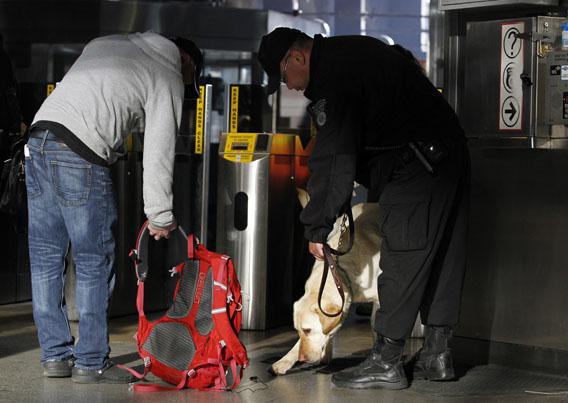 A Transit Police dog with the Massachusetts Transportation Authority Explosives Detection Unit, sniffs a bag at Back Bay Station as commuters enter the subway system a day after two explosions near the finish line of the Boston Marathon.