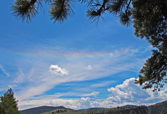 Circumhorizon arc