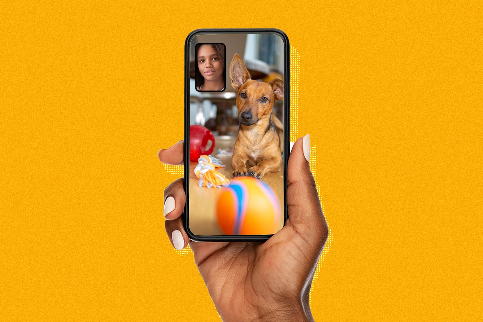 A phone displaying a slide from BeReal that features a photo of a dog and an inset photo of a person's face