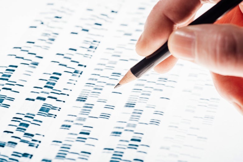A pencil hovering over a Sanger sequencing image.