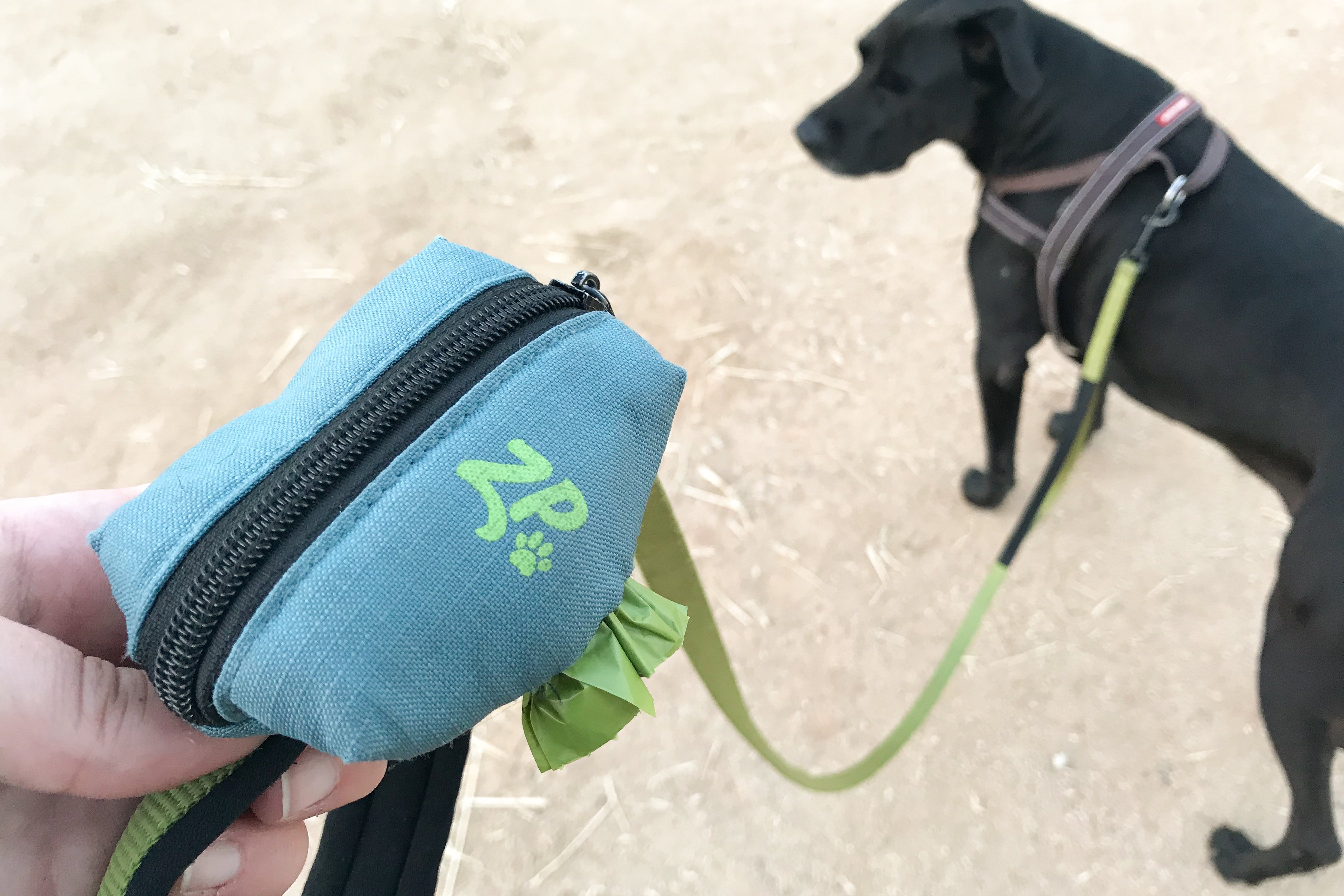 wirecutter dog bowl