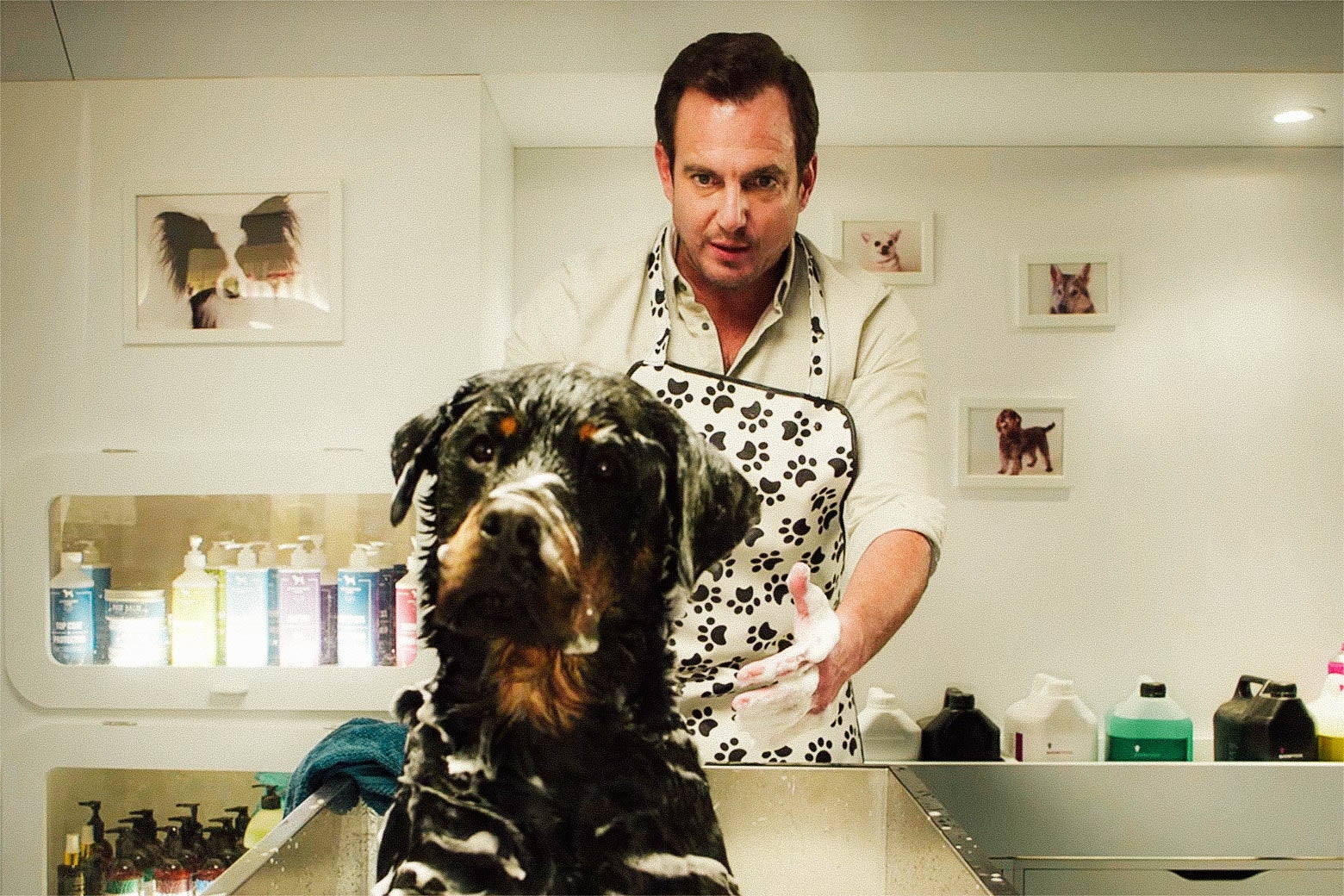 Will Arnett’s character in Show Dogs gives a dog a bath.