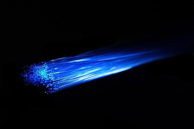The ends of electric-blue fiber-optic cables.