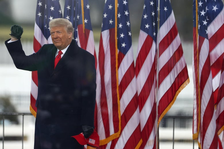 If Trump Wasn’t Calling for Insurrection, What Was He Doing? If Trump Wasn’t Calling for Insurrection, What Was He Doing?
