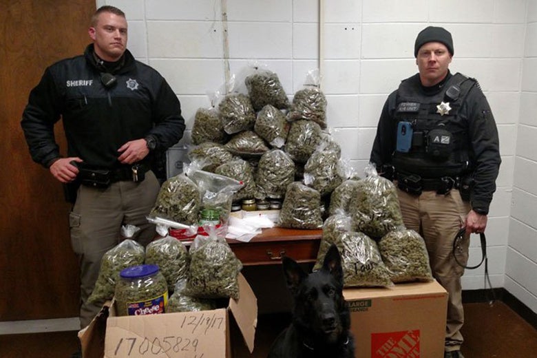 York County Sheriff’s officers with 60 pounds of marijuana.