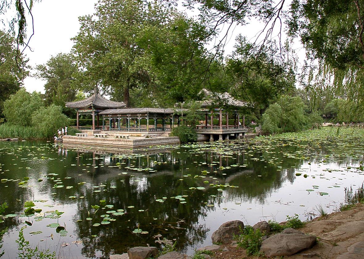 A small lake inside Beijing University’s compound, Beijing, China, May 30, 2008.